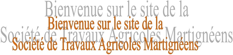 Bienvenue sue le site stam5
